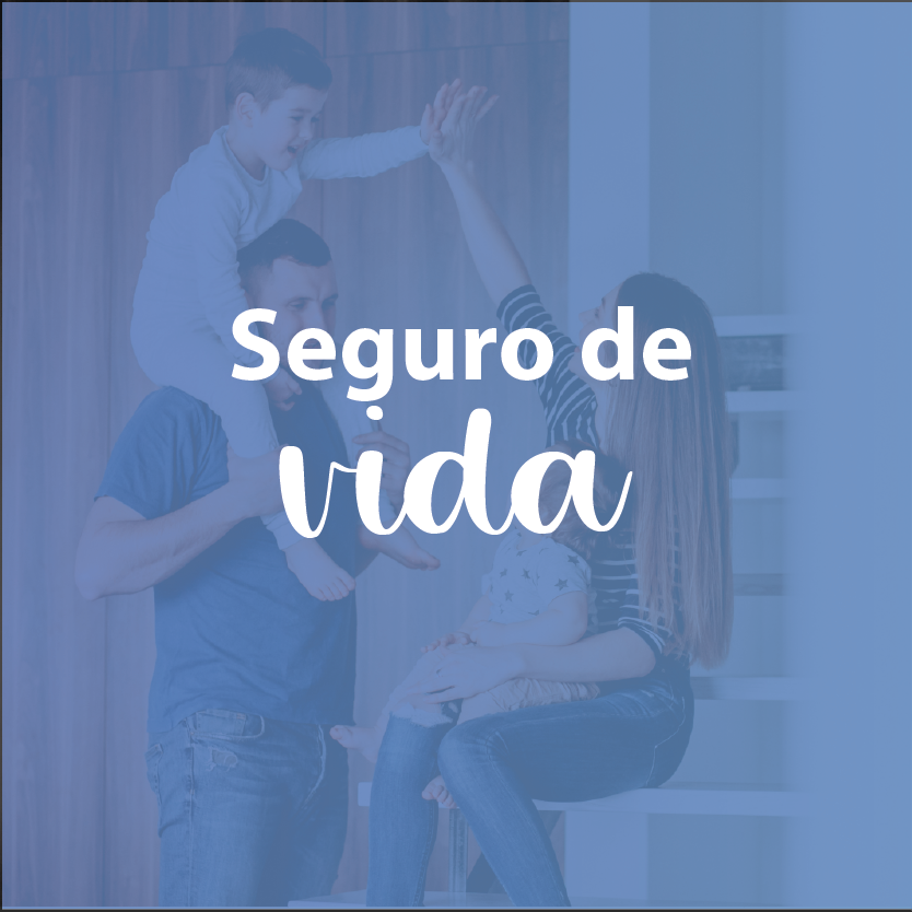 Seguro-de-vida-effiseg