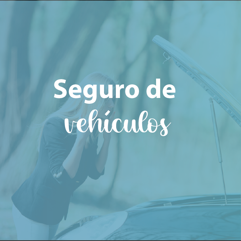 Seguro-de-carros