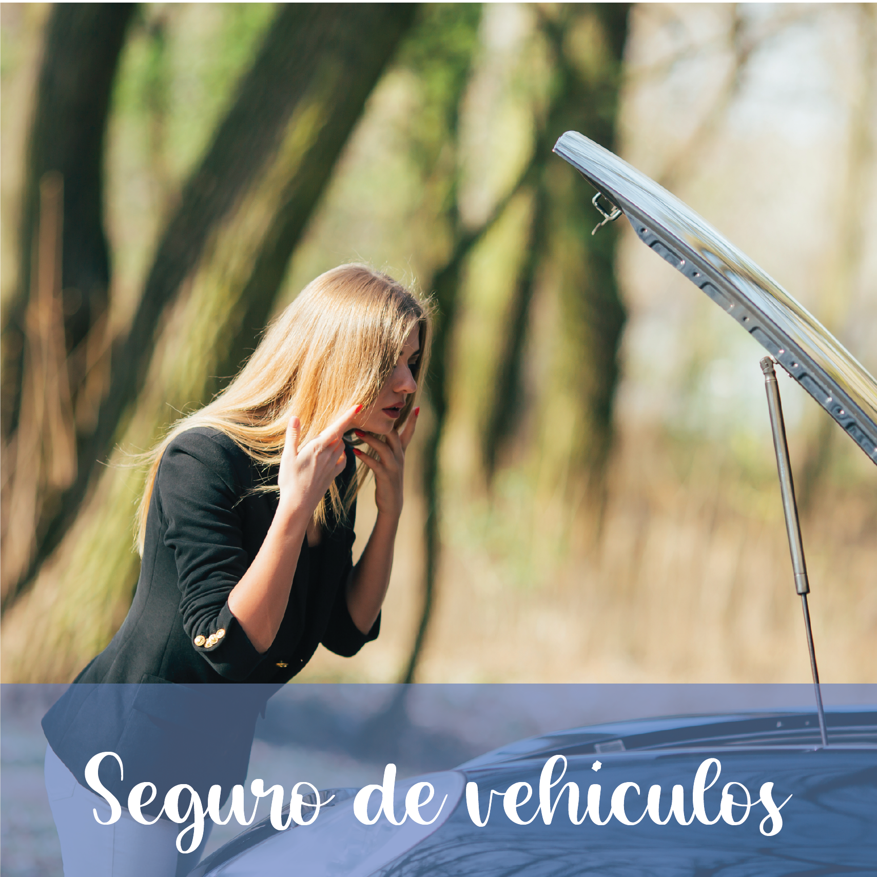 Seguro-vehículos