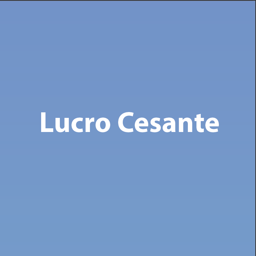 Seguro-Lucro-Cesante
